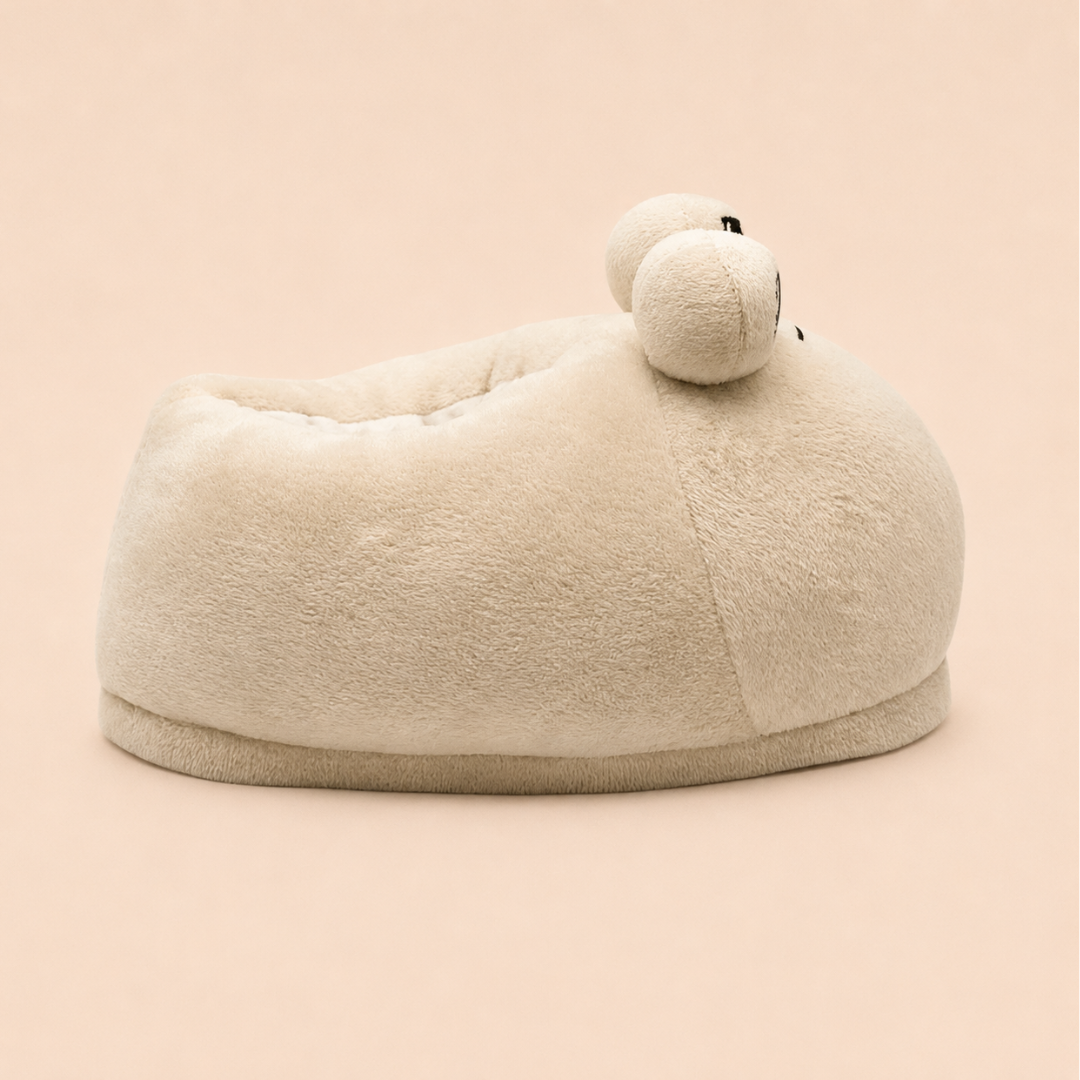Droony™ Slippers